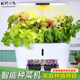 智能水培种菜机家用育苗机无土栽培设备蔬菜盆植物水耕番茄种植箱