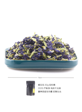 星空色蝶豆花蓝蝴蝶花天然无染色