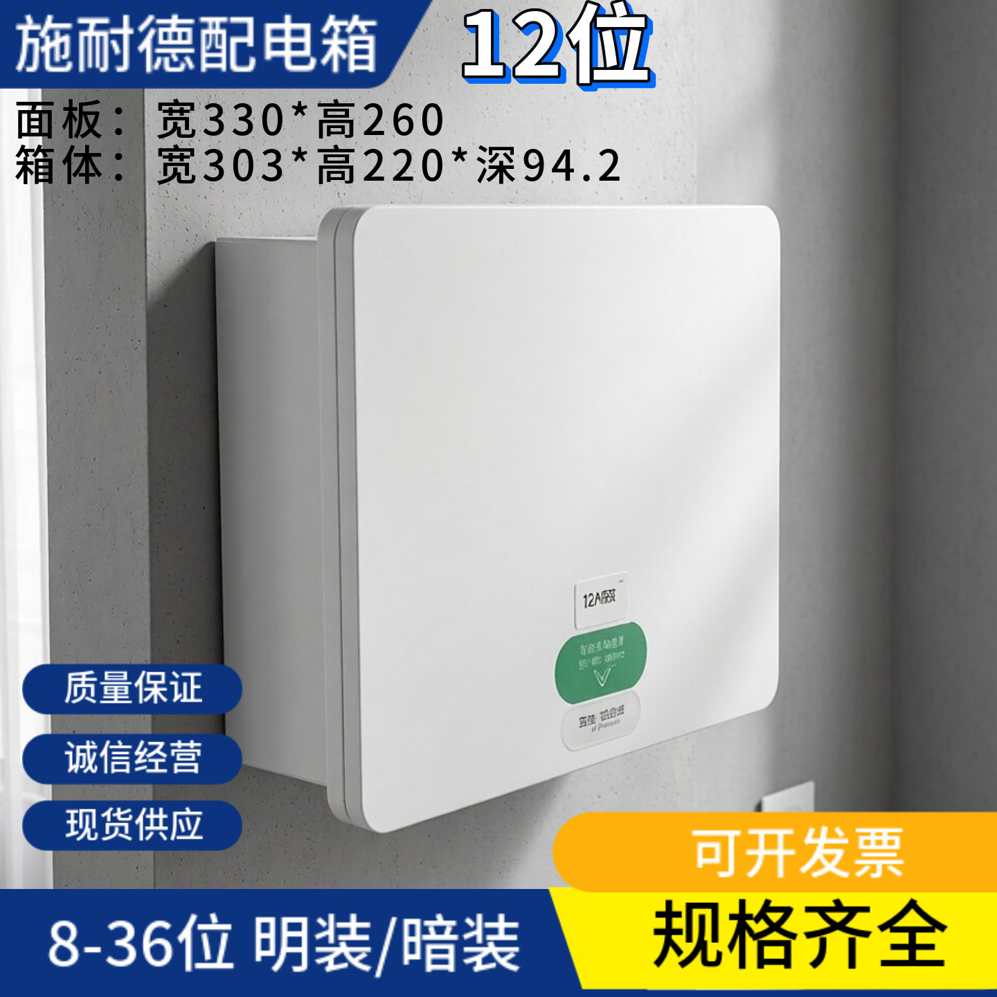 12P施耐德配电箱12回路电箱家用