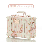 可爱手提箱伴手礼化妆箱13寸16寸手提复古行李箱密码 迷你小旅行箱