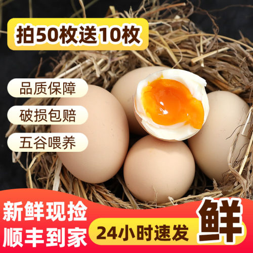农家散养土鸡蛋拍50枚送10枚