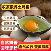 农家散养土鸡蛋30枚柴鸡蛋笨鸡蛋宝宝辅食农家自产新鲜现捡现发
