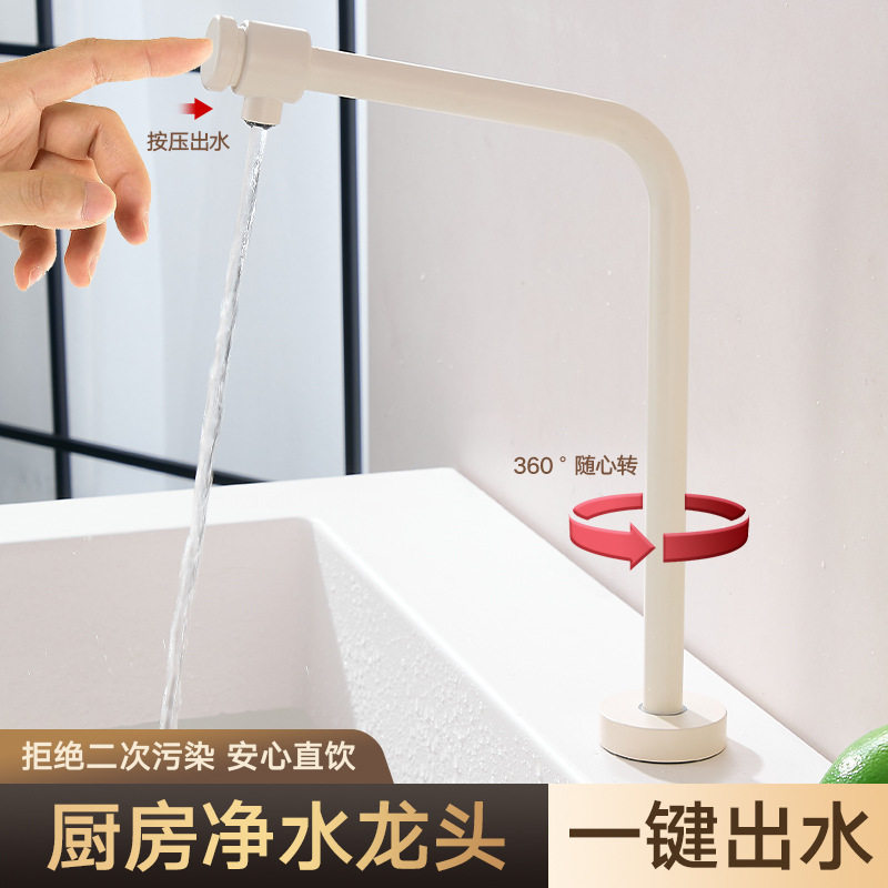 aldf304不锈钢净水器的水龙头厨房纯净直饮水过滤器净水机2分龙头