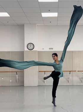 水袖古典舞水袖练功服成人飘逸演出服装中国风戏曲练习甩袖上衣女