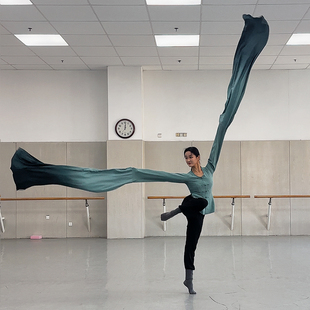 中国风戏曲练习甩袖 练功服成人飘逸演出服装 上衣女 古典舞水袖 水袖