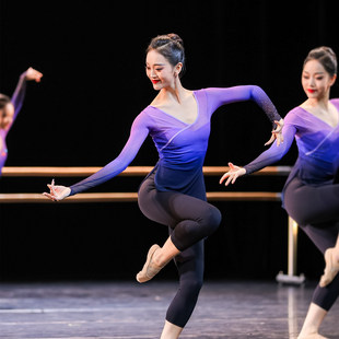 芳华杯体操服纱衣古典舞蹈练功服飘逸成人表演服装形体服舞蹈上衣