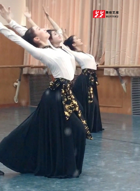 舞依艺库蒙族舞蹈服装大摆裙民族舞女成人艺考练习半身裙上衣套装