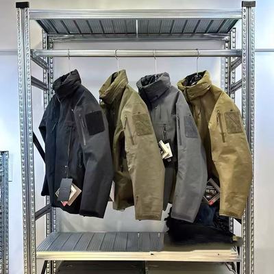 正宗青岛军鸟系列青岛永元单