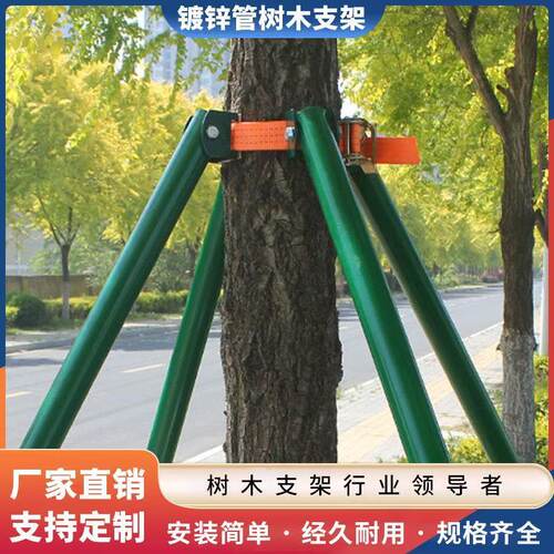 树木支撑架金属大杆镀锌钢管抱箍烤漆色绿化园艺支撑杆防风固定器