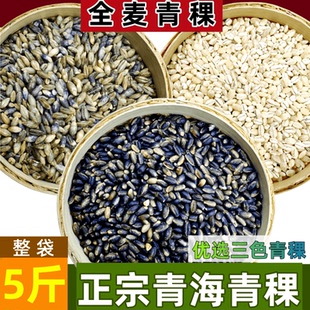 优质青稞米青海西藏高原西苗蓝白黑青稞五谷杂粮麦仁煲粥米饭5斤