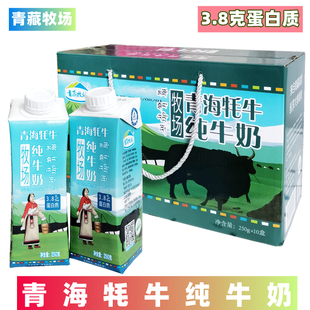 青海牦牛纯牛奶青藏牧场高原牛乳3.8克蛋白质礼盒装 250克10盒营养