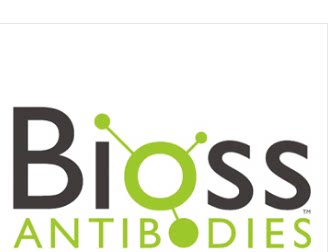 Bioss  亲和纯化人IgG   bs-0297P  50mg