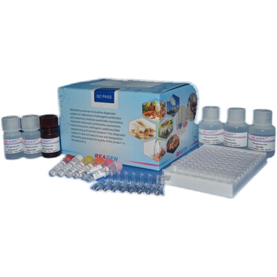 whatman 2555 1/2折叠滤纸10313947/51/53