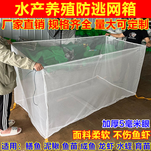 定制加厚10目网箱室内鱼虾水产养殖网箱孵化鱼苗幼苗泥鳅鳝鱼网箱