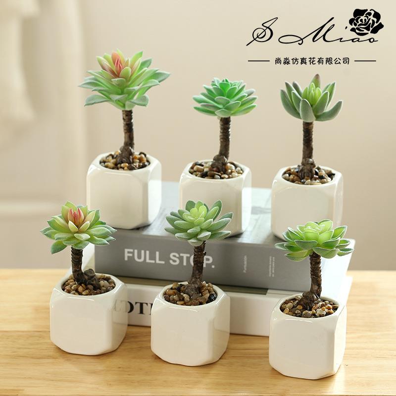 多肉植物仿真盆景创意摆件礼品花厂家直供绿色植物室内装饰绿植