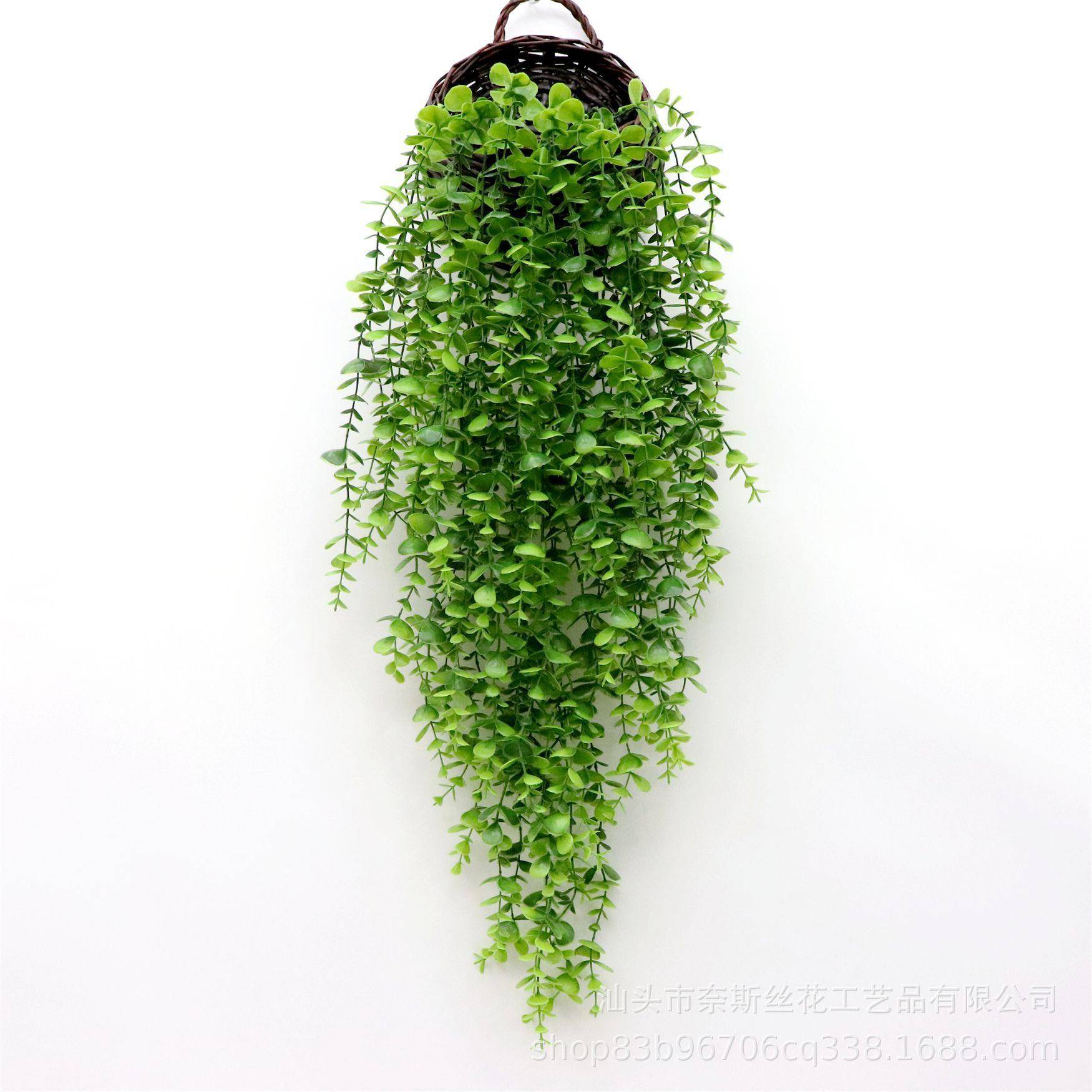 仿真植物5叉69目大壁挂尤加利叶藤条藤蔓缠绕花藤垂吊绿植装饰