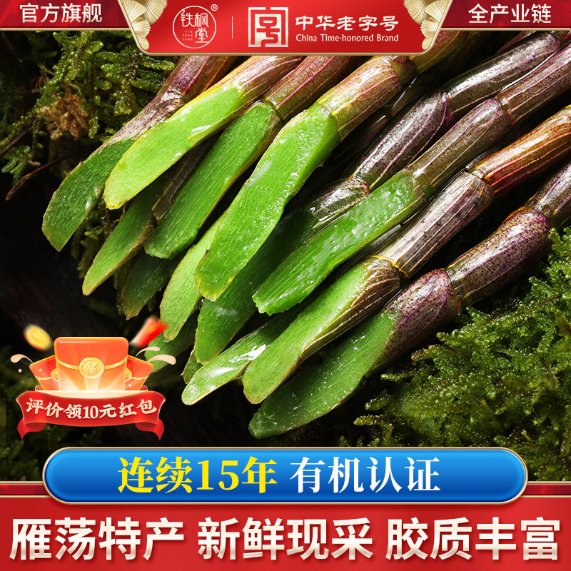 铁枫堂铁皮石斛鲜条雁荡山新鲜石斛500g石斛礼盒包装鲜石斛条