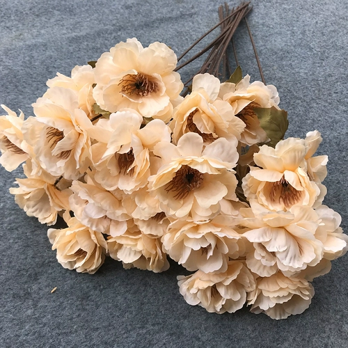 3 Gardenia Flower Simulation цветок шампанское