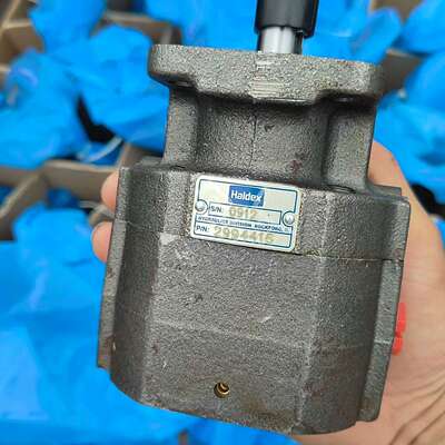 全新瑞士瀚德Haldex齿轮泵  油泵 100个议价