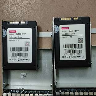 七彩虹SL500 1TB议价