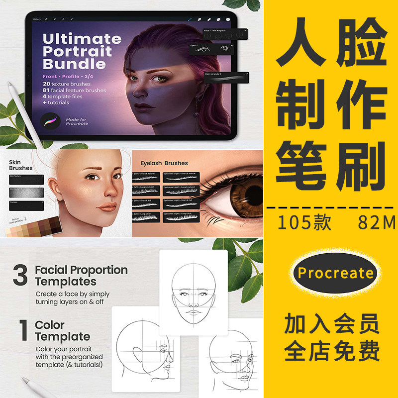 procreate笔刷面部多角度辅助线稿人脸结构肖像ipad手绘插画素材