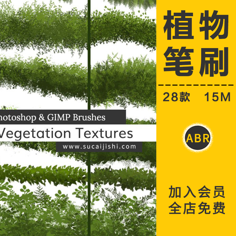 真实绿色植物树叶笔刷树木灌木丛常春藤画笔触手绘丛林插画PS素材