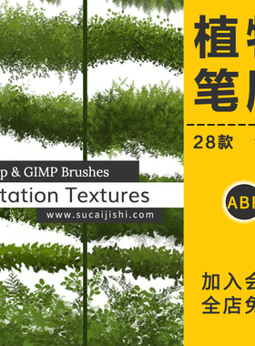 真实绿色植物树叶笔刷树木灌木丛常春藤画笔触手绘丛林插画PS素材