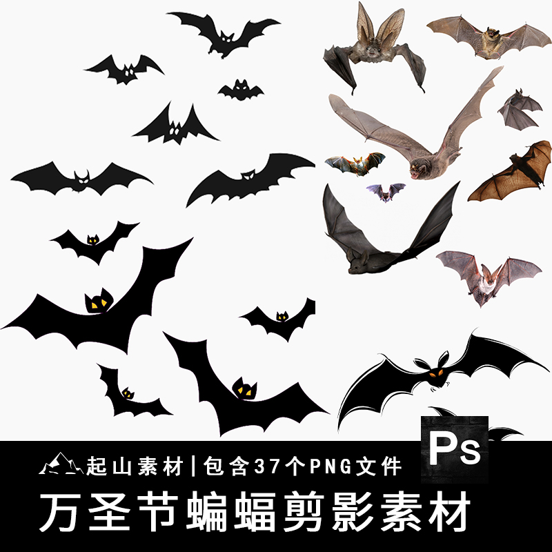 万圣节蝙蝠剪影插画边框黑色卡通元素背景png免抠图片素材