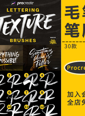 Procreate笔刷毛笔水墨英文油漆特效字体粗狂书法手写iPad绘画板
