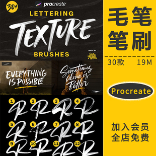 Procreate笔刷毛笔水墨英文油漆特效字体粗狂书法手写iPad绘画板