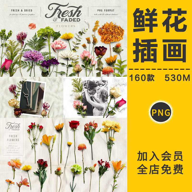 新鲜干枯鲜花玫瑰植物花卉叶子平躺场景装饰元素插画png免抠素材