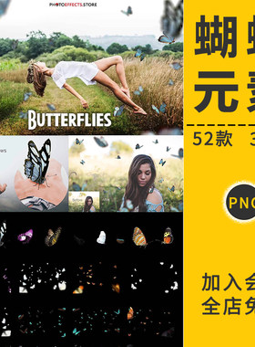 梦幻真实彩色蝴蝶飞舞飞行特效摄影楼装饰叠加PNG免抠后期PS素材