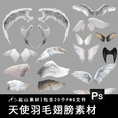 真实天使翅膀黑白色羽翼PNG免抠图影楼儿童摄影后期装饰合成素材