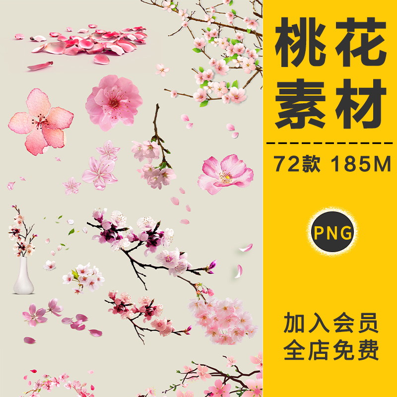 桃花花瓣透明背景花朵花枝手绘浪漫唯美春天春季PNG免抠图片素材