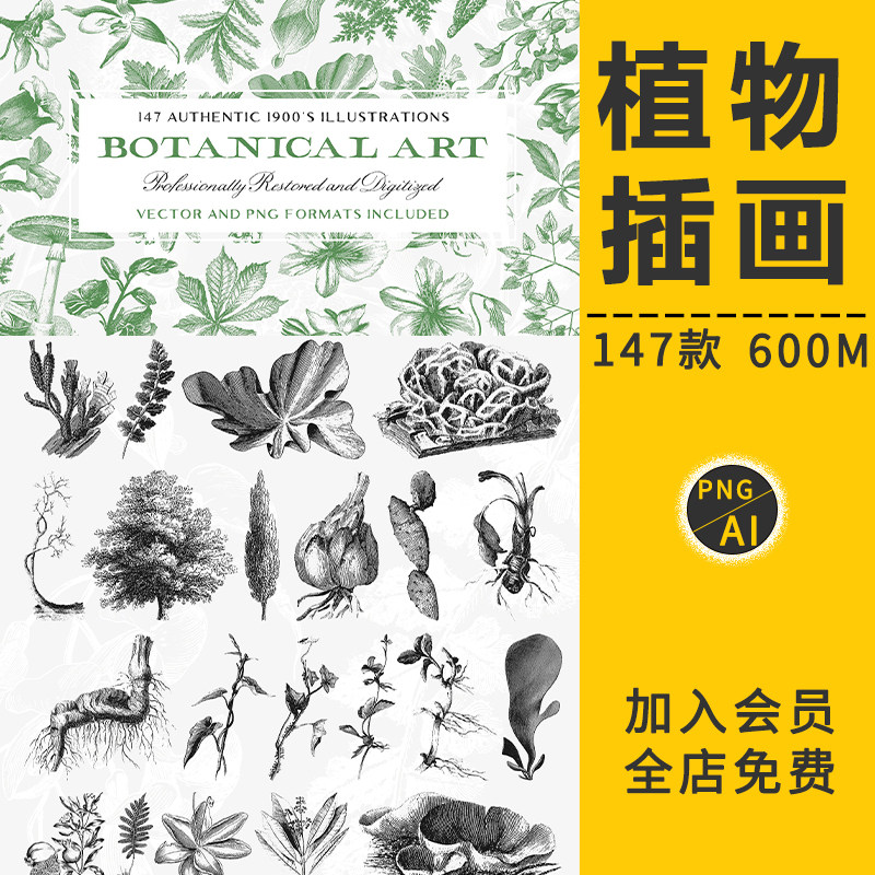 高清绿色植物小清新插画叶子树枝木草花卉仙人掌花芯装饰印刷素材