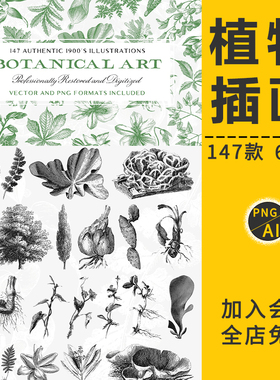 高清绿色植物小清新插画叶子树枝木草花卉仙人掌花芯装饰印刷素材