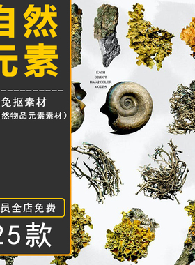 PS大自然绿色植物贝壳树枝木头菌类蘑菇PNG免抠图片海报设计素材