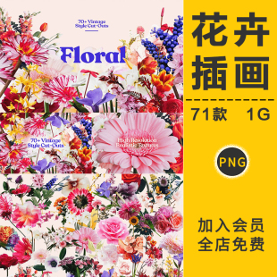 素材 复古潮流花卉植物半色调花朵拼贴剪裁插画PNG免抠平面设计元