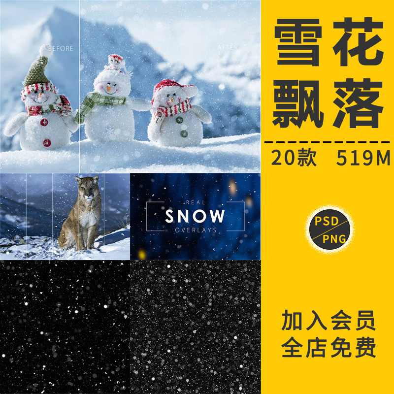 飘雪雪花飘落下雪雪粒唯美雪景圣诞节元素背景免抠影楼后期ps素材