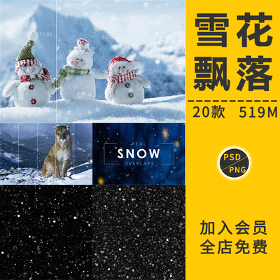 飘雪雪花飘落下雪雪粒唯美雪景圣诞节元素背景免抠影楼后期PS素材