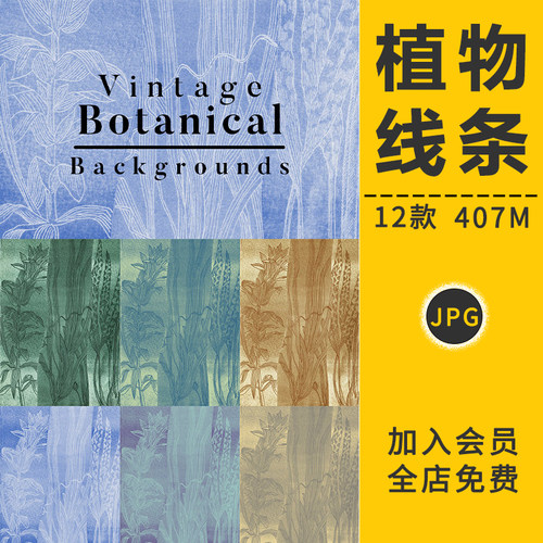 中国风古风绿植物线条花卉花朵叶子草线稿纹理背景水培插画PS素材