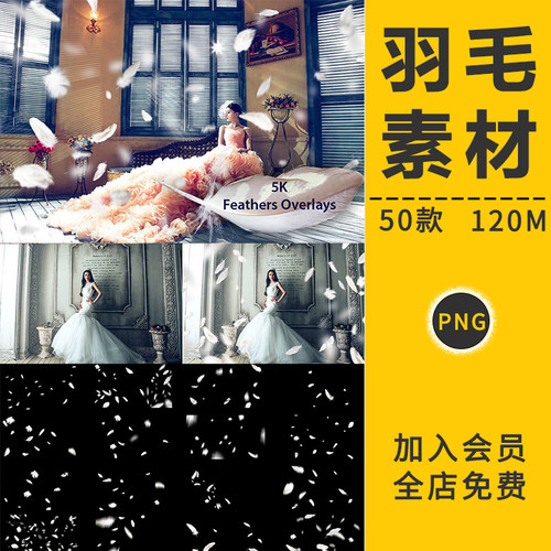 唯美羽毛白色透明飘落动物羽绒摄影楼婚纱装饰图PNG免抠图片素材