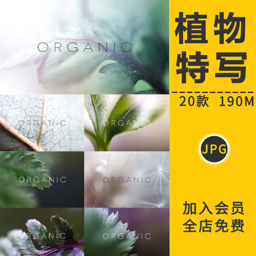 PS高清植物花卉特写镜头树叶鲜花照图片背景叠层海报平面设计素材