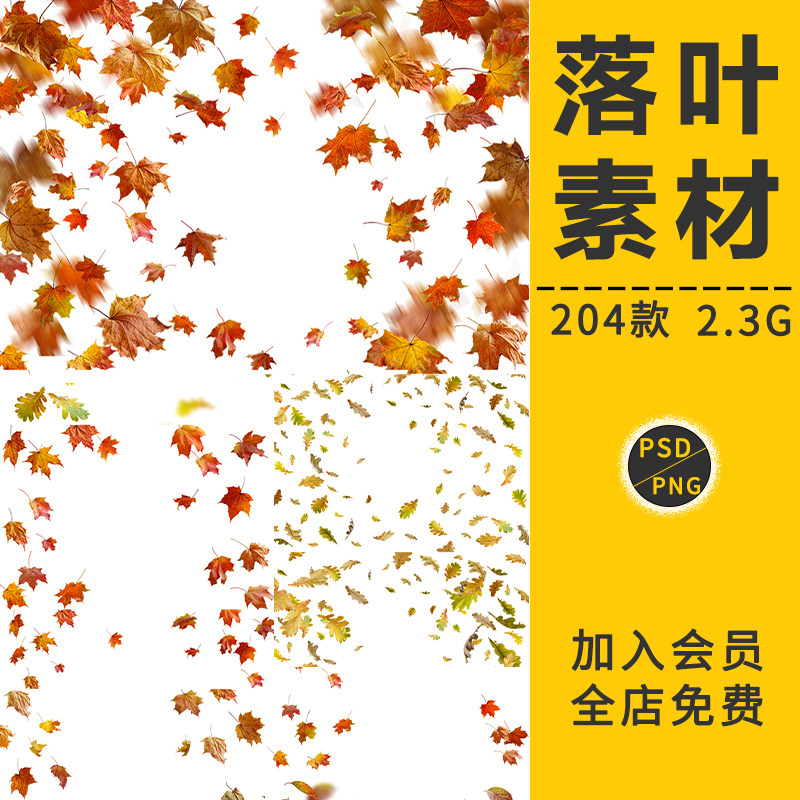 秋季秋天秋分立秋枫叶树林金色银杏落叶风景背景海报模板psd素材
