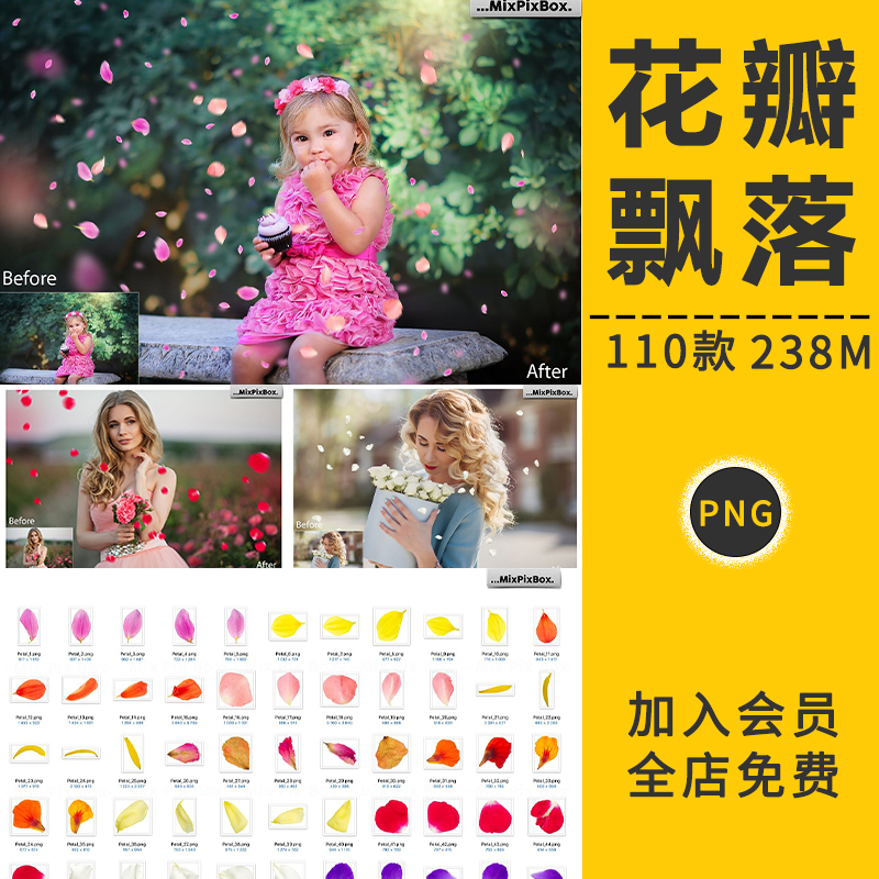 玫瑰花樱花桃花瓣飘洒散落摄影影楼背景写真照片合成免抠图PS素材