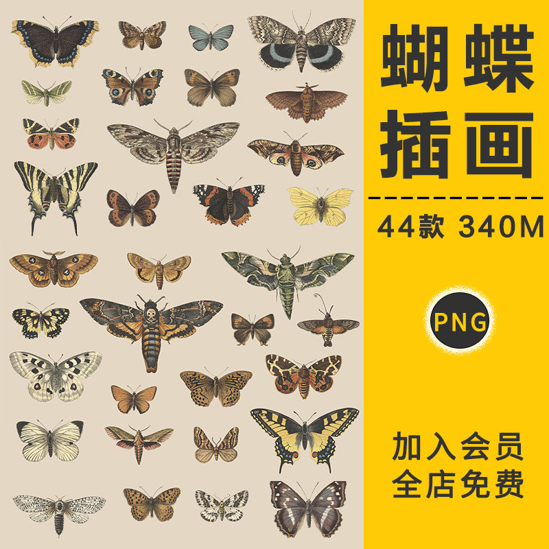 复古手绘精美蝴蝶展翅飞蛾凤蝶插图插图高清PNG免扣图片设计素材,商务/设计服务,设计素材/源文件,淘宝优惠券,粉丝福利购,淘宝优惠卷