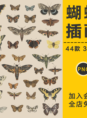 复古手绘精美蝴蝶展翅飞蛾凤蝶插图插图高清PNG免扣图片设计素材