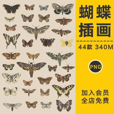 复古手绘精美蝴蝶展翅飞蛾凤蝶插图插图高清PNG免扣图片设计素材