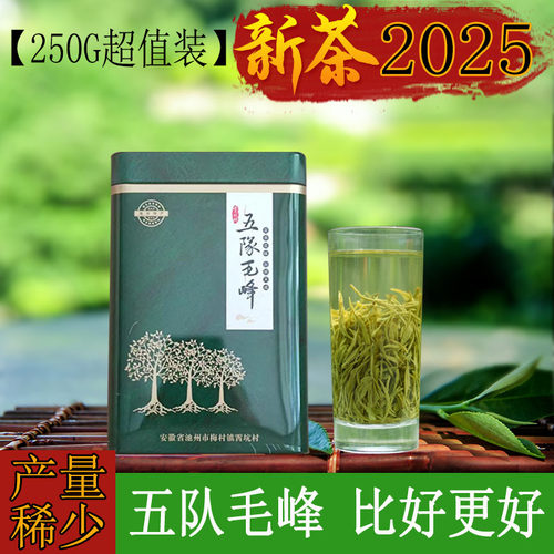 2025新茶正宗霄坑茶叶五队毛峰