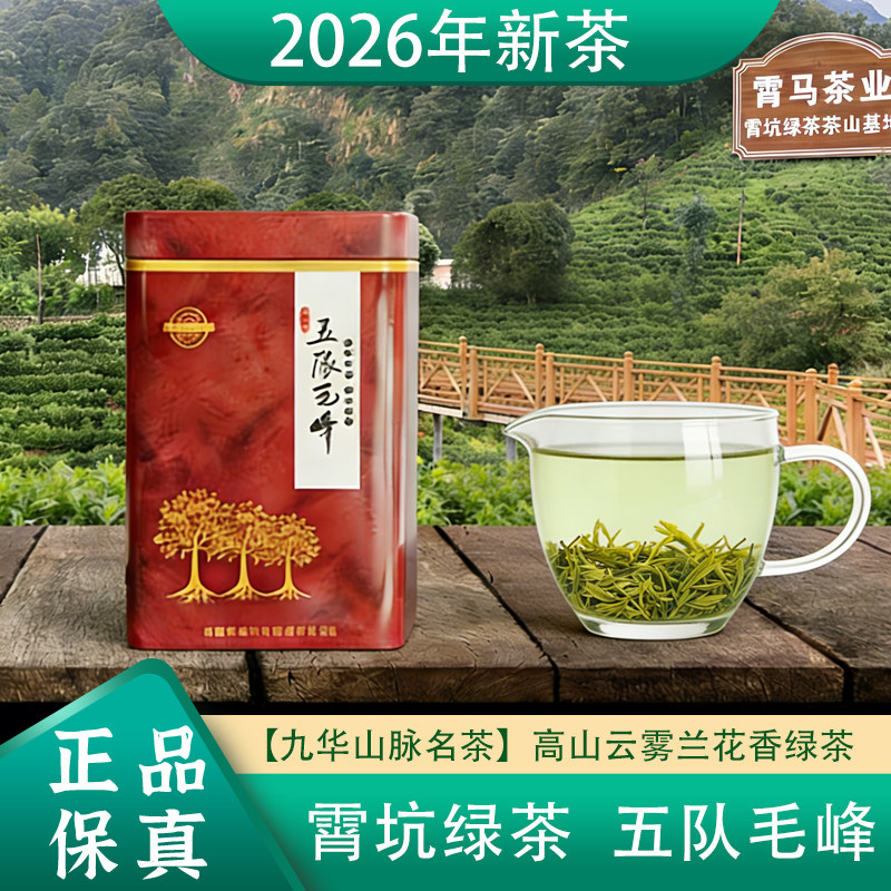 2026新茶安徽池州肖坑茶叶霄坑五队毛峰绿茶高山野生茶叶250g